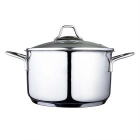 Elegant Cooking: Serenk Modernist 20 cm Stainless Steel Stock Pot