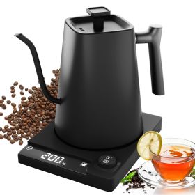 Electric Gooseneck Kettle