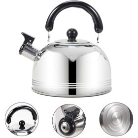 Stainless Steel Kettle with Whistling Feature - Insulated Handle for Safe Handling