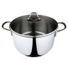 Modern Elegance: Serenk Stainless Steel Stock Pot, 24 cm