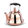 2L Whistling Tea Kettle Coffee Tea Pot for Boiling Water